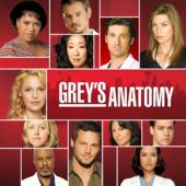 Greys Anatomy - Season 4