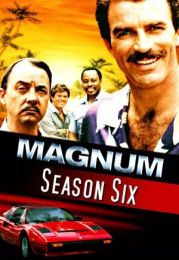 Magnum, P.I. - Season 06