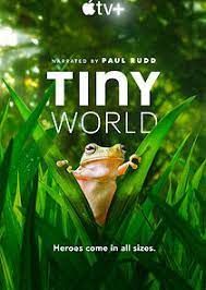 Tiny World - Season 2